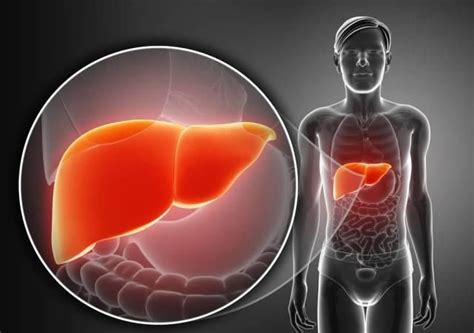 身体有哪些症状表现是肝脏不好