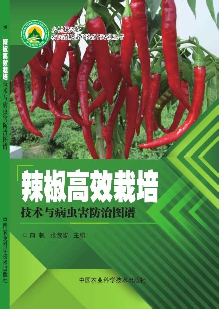 辣椒栽培与病虫防治