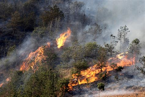 近十年昆明发生的森林火灾