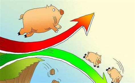 近期猪价暴涨原因分析