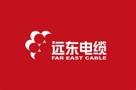 远东电缆有限公司