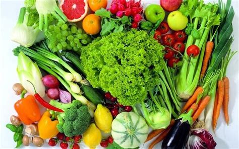 适合冬天种植的五种蔬菜