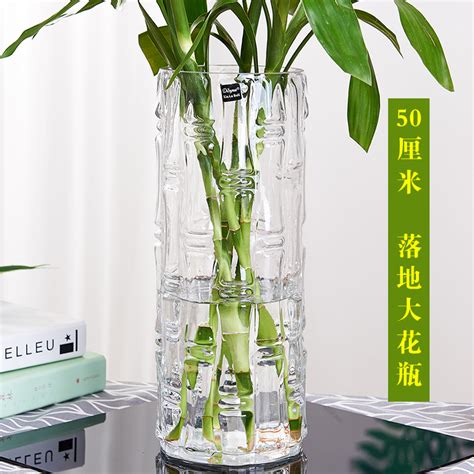 适合富贵竹花瓶的水培植物