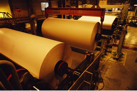 造纸厂年利润有多高
