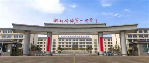 邯郸市考上国外知名大学