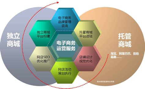 郑州行业网站开发运营
