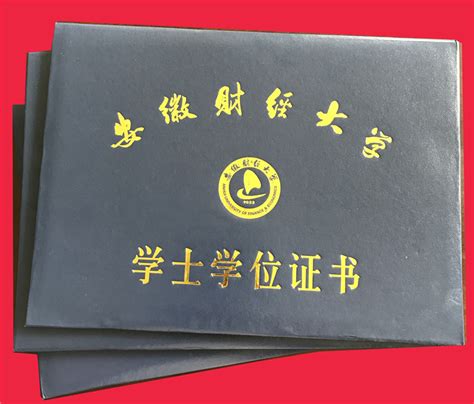重庆人文科技学院学士学位证