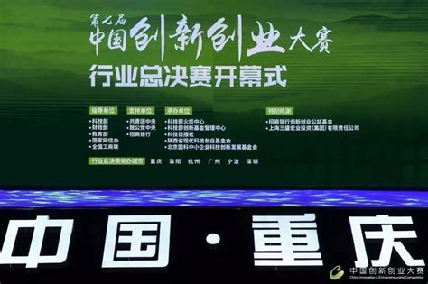 重庆企业技术搭建市场价