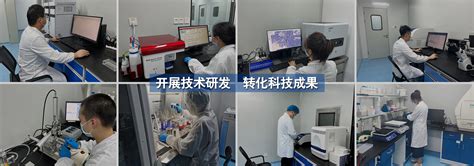 重庆医学细胞实验外包推荐