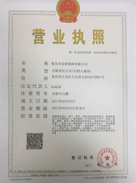 重庆市推荐执照代办公司