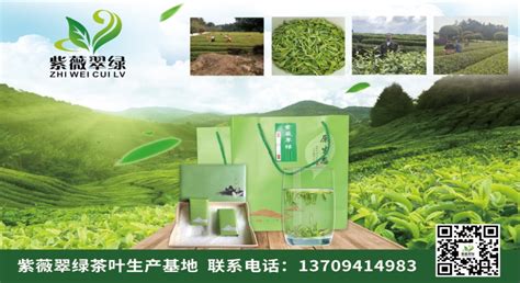 重庆市茶叶电商资讯网