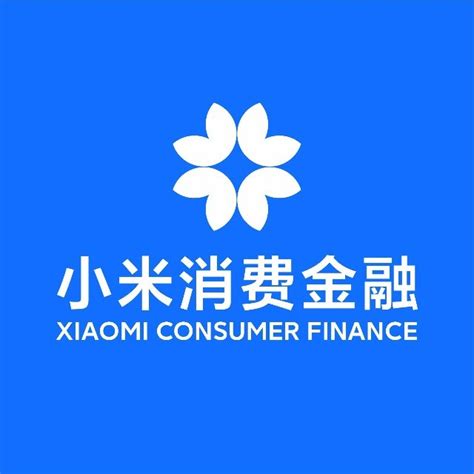 重庆消费贷款金融公司