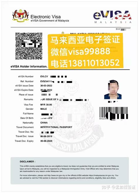 重庆电子签证