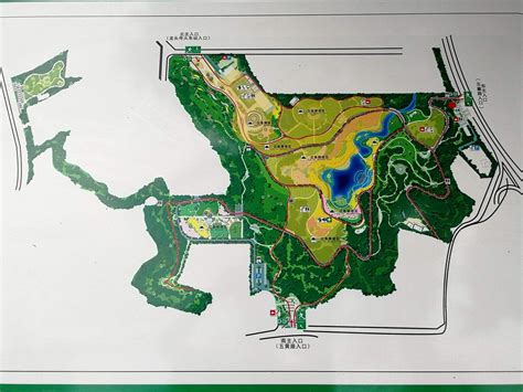 重庆龙头寺公园地图