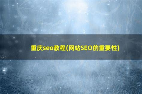 重庆seo技术教程网