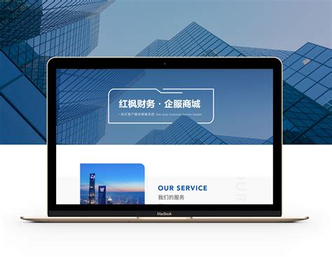 铁岭企业门户网站开发服务