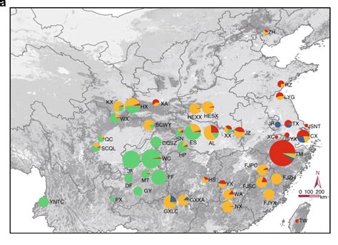银杏树分布在中国哪里