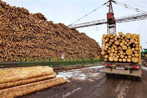 长春木材市场哪里最便宜