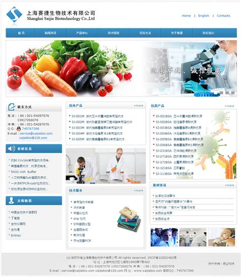 闵行区专业网站优化设计