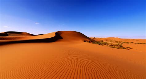 阿拉善沙漠图片