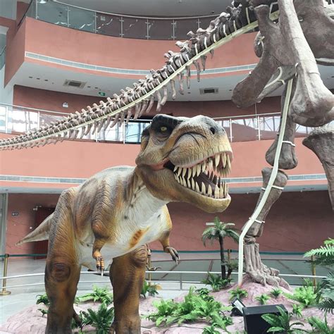 附近恐龙博物馆