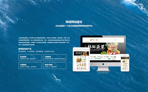 陕西网站建设推广公司