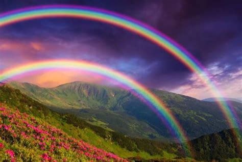 雨后的彩虹是怎么形成的