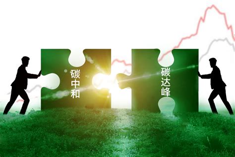 青岛环保行业网络推广服务电话