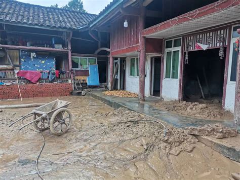 青川县近期洪水预测