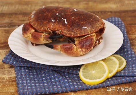 面包蟹怎么养才能活
