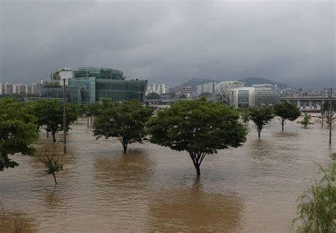韩国暴雨致农田受损