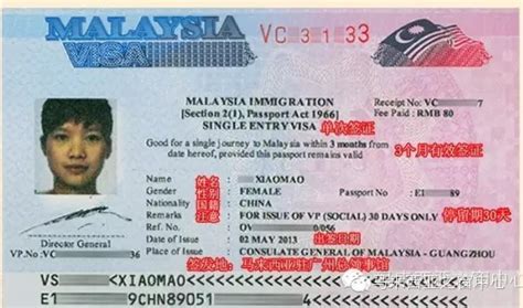 马来西亚签证页水印