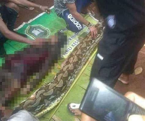马来西亚蟒蛇吞人案件