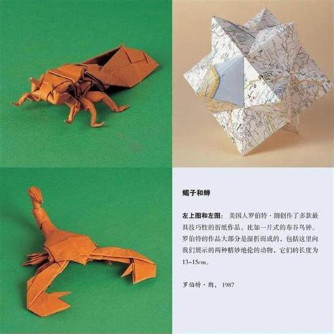 高端折纸模型