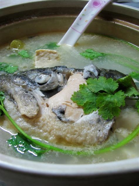 鱼头的做法鱼头豆腐汤