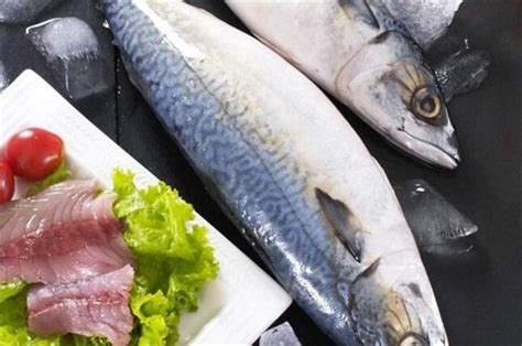 鲅鱼营养价值及禁忌