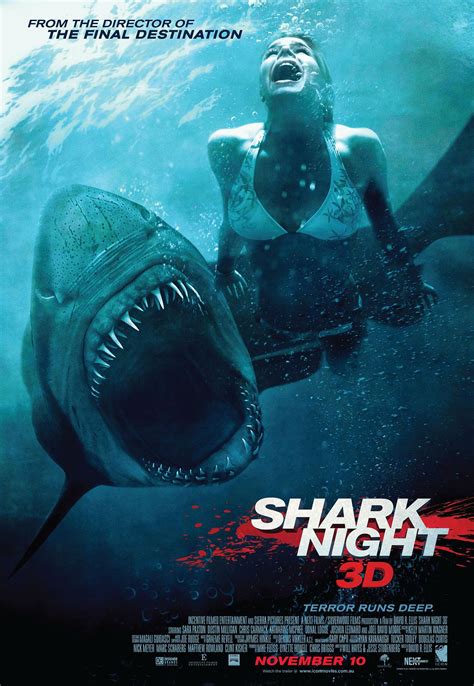 鲨鱼电影免费观看完整版
