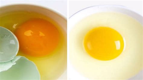 鸡蛋可以鉴别银子真假