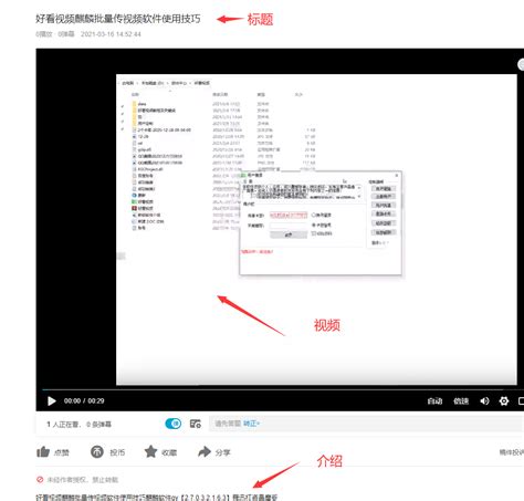 麒麟seo术语教学视频免费