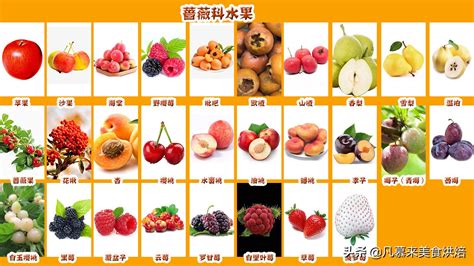 100种水果名字