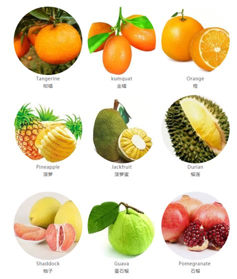 100种水果名字加拼音