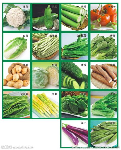 100种蔬菜名字大全