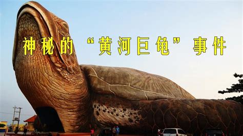 1965年黄河巨型乌龟事件
