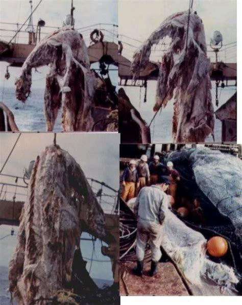 1977日本巨型海怪