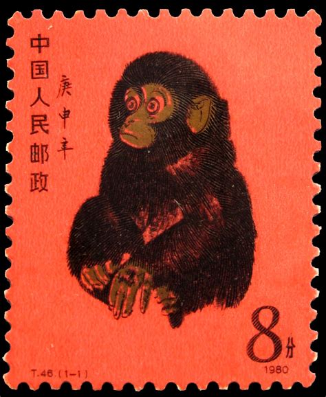 1980猴起名