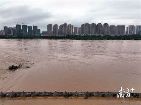 2022龙川洪水视频