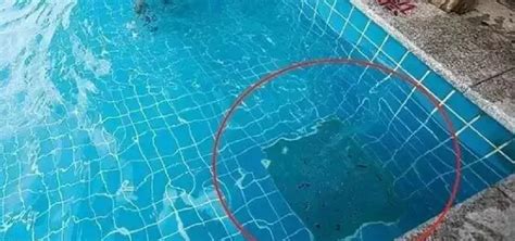 6岁男童正游泳手臂被吸进排水口