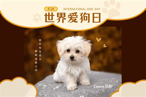 8月26日是国际爱狗节吗