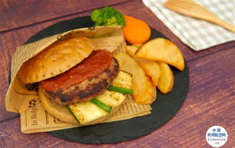 9dw_日本飞机餐推出蟋蟀粉末汉堡视频