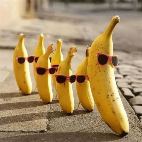 Banana是什么水果啊